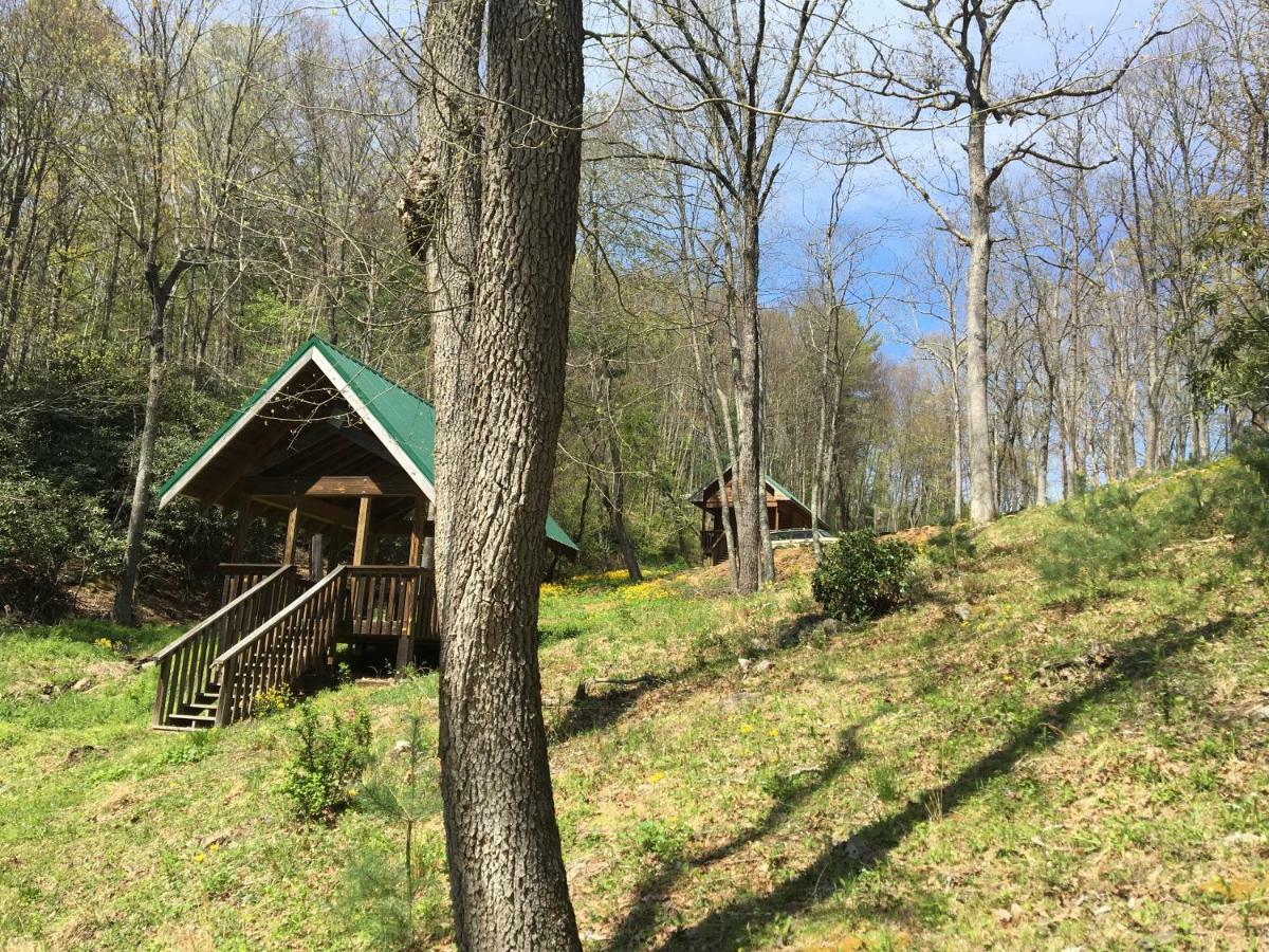 Little River Cabin Sparta Kültér fotó